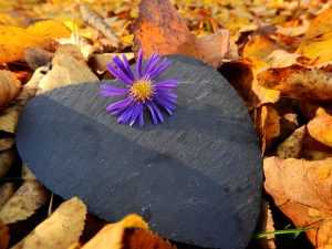 autumn-Fatherheart-France