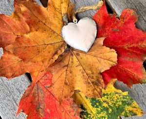leaves-Fatherheart France