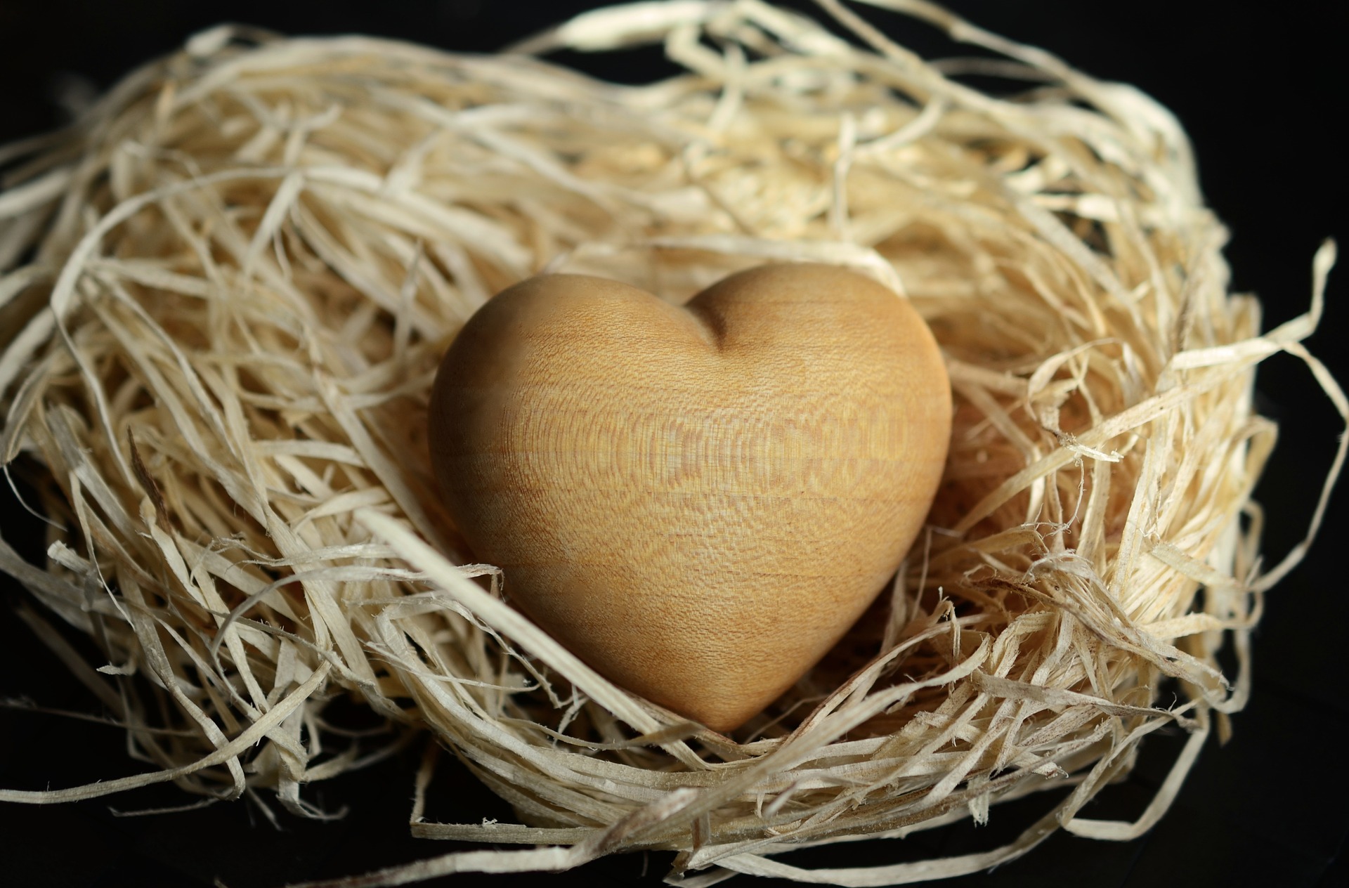 wood-wool-Fatherheart-France