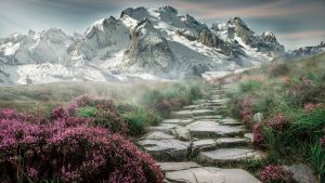 mountain-Fatherheart - France