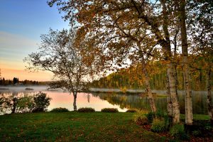 autumn-Fatherheart-France