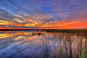 sunset-Fatherheart-France