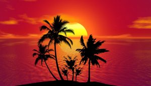 tropical-Fatherheart-France