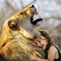 lion-Fatherheart - France