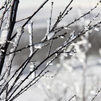 breathtaking-Fatherheart France