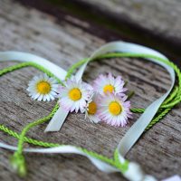 daisy-Fatherheart - France