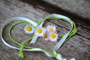 daisy-Fatherheart - France