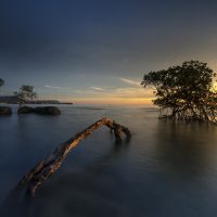 the-sun-Fatherheart-France