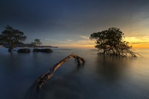 the-sun-Fatherheart-France