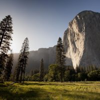 yosemite-FatherheartFrance